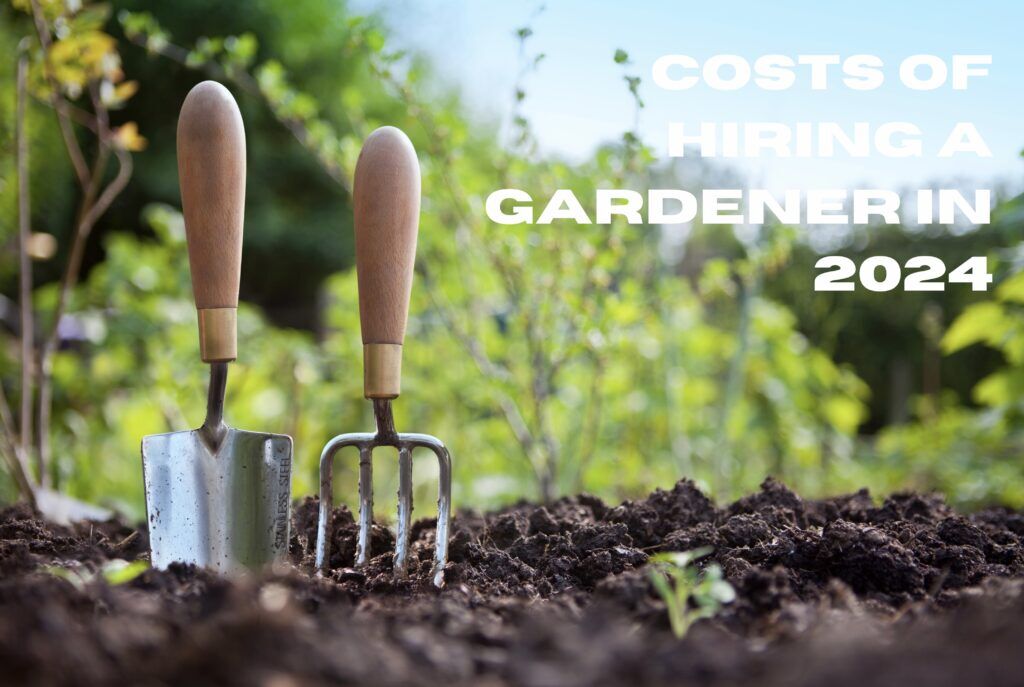 How to Choose the Right Trowel for Your Budget