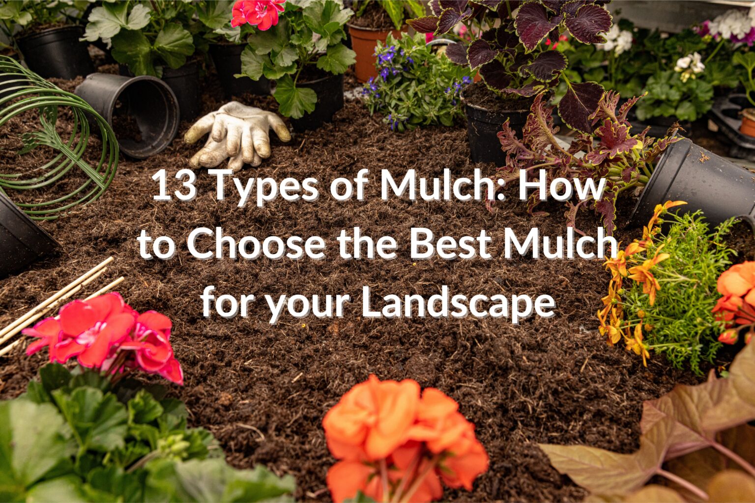 13 Types of Mulch: How to Choose the Best Mulch for your Landscape